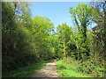 Track in Stoke Park Wood