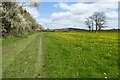SP1623 : Farmland near Lower Slaughter by Philip Halling