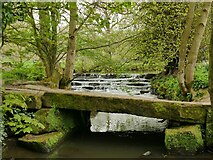 SE2837 : Clapper bridge over the Meanwood Beck by Stephen Craven