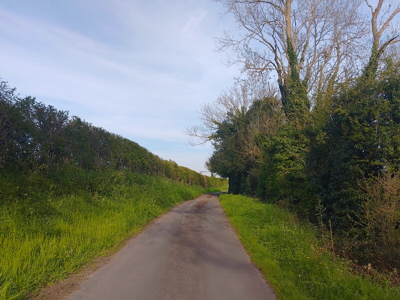 Lane to Marsh Benham © Oscar Taylor cc-by-sa/2.0 :: Geograph Britain ...