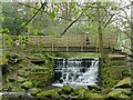 SE2738 : Weir on Meanwood Beck at the top of the park by Stephen Craven