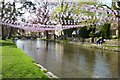 SP1620 : River Windrush, Bourton-in-the-Water by Philip Halling