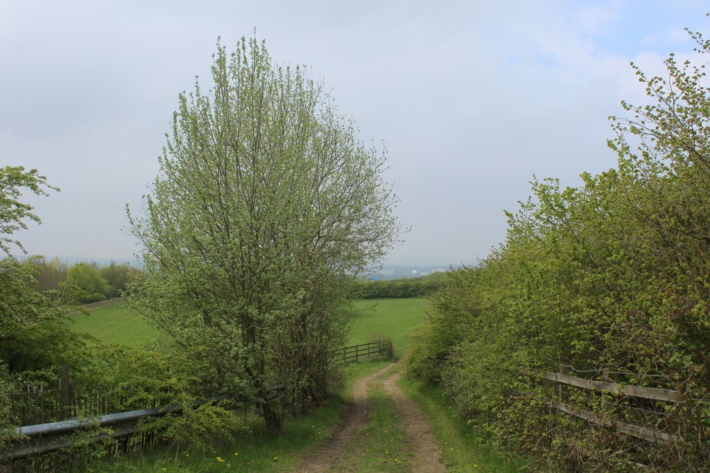 Footpath Heading For Dawson S Wood And Chris Heaton Cc By Sa Geograph Britain And