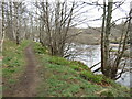 NH9012 : Path along the River Spey near Aviemore by Malc McDonald