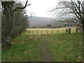 Path near Aviemore