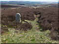 NY8291 : The Pennine Way near Whitley Pike by Dave Kelly