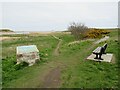 NJ9509 : Donmouth Nature Reserve, Aberdeen by Malc McDonald