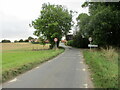 Entering  Patrington  on  Holmpton  Road