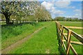 Bridleway to Peartree Field Wood