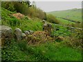 Footpath 108/4 near Lower Wood Head, Barkisland