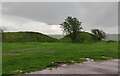 The motte at Castle Pulverbatch