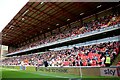 SE3506 : The East Stand at Oakwell by Steve Daniels