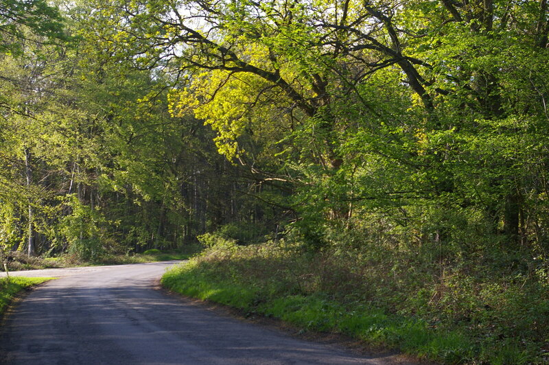 Lane through Dunwich Forest at... © Christopher Hilton cc-by-sa/2.0 ...