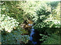 Evan Water at Beattock Bridge