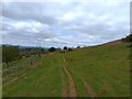 Path below Mynydd Bychan