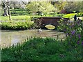 Swan on Barbourne Brook, Gheluvelt Park, Worcester