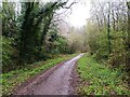 Coneygree Path