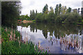 The Teardrop Lakes, Milton Keynes