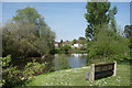 Pond on the Common