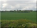 Upton Snodsbury Church from a distance (2)