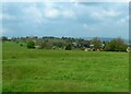 Earthworks on Minchinhampton Common