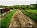 Footpath on track from Benroyd Farm to its fields, Old Lindley