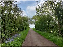 SK6222 : Track from Glebe Barn Farm leading to Narrow Lane by Tim Heaton