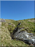 SH7049 : Nameless stream on the hillside of Moel Farlwyd by Richard Law