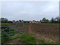 Farmland east of Brize Norton