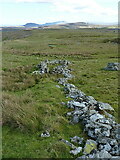 SH7247 : Old wall and a sheepfold by Richard Law
