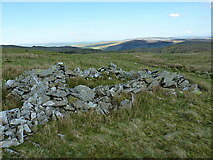 SH7247 : Disused sheepfold on the south side of Foel-fras by Richard Law