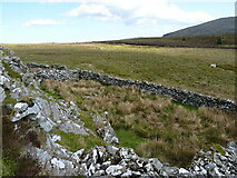 SH7247 : Large sheepfold in the cwm by Richard Law
