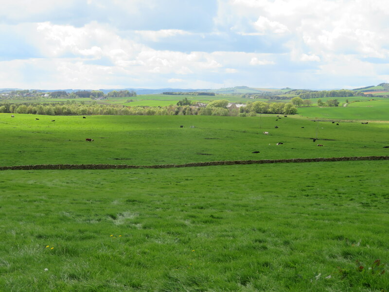 Pasture Between Mack's Mill And... © M J Richardson Cc-by-sa/2.0 ...