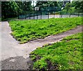 ST3190 : Grass triangle in Grove Park, Newport by Jaggery