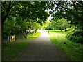 Path through Maltlands Play Area