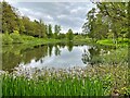 The north edge of the Reservoir Pond, Yorkshire Arboretum