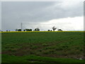 Crop field, Brown Street