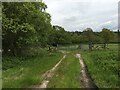 Gated farm track near Enthorn