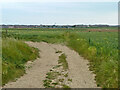 Path junction, Peacehaven