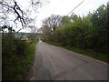 Summer Lane looking South