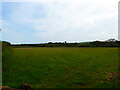 Field on Mithian Downs by Fairview Farm