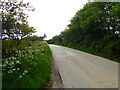 Minor road approaching a bend by Fair View Farm