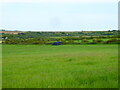 Field near Silverwell Farm