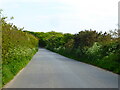 Minor road approaching Silverwell Farm