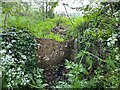 Stone Stile, Crudwell