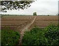 Footpath over field to Red House