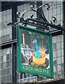 Sign for the Cock and Pye