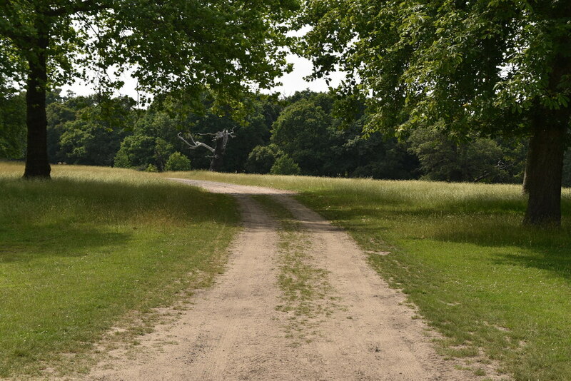 windsor great park cycle map