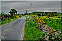H4383 : Reaghan Road, Legnabraid by Kenneth  Allen