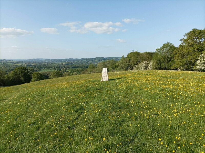 trig-point-and-buttercups-pebble-cc-by-sa-2-0-geograph-britain-and